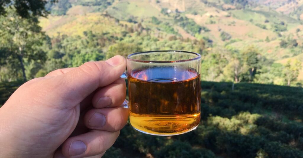 A hand holding a glass of tea with a stunning view of the lush hills in Thailand.